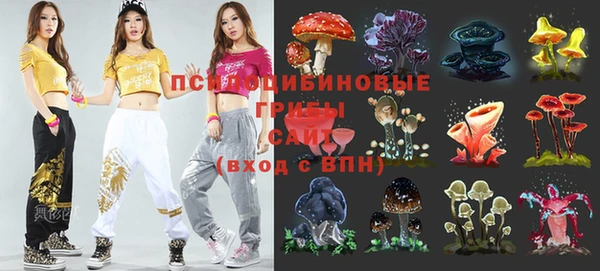 гашишное масло Новодвинск